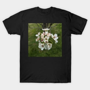 White Tree Flowers 1 T-Shirt